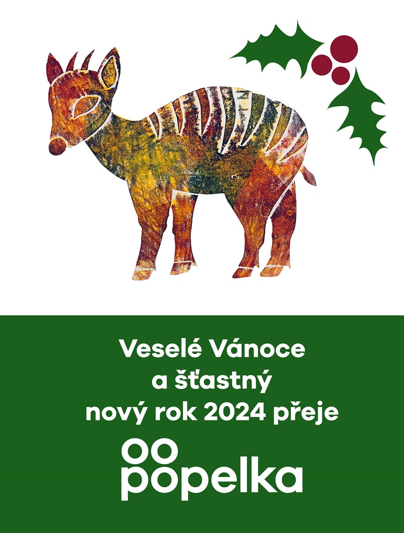 ZUŠ Popelka přeje veselé Vánoce a šťastný nový rok 2024!